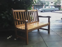 Sillon Bostoniano